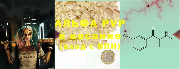 индика Абинск