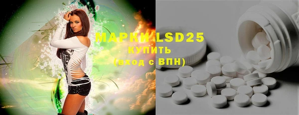 индика Абинск