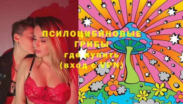 индика Абинск