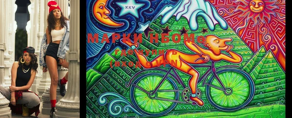 МДПВ Абаза